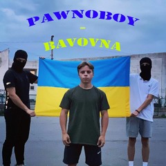 Pawnoboy - Bavovna