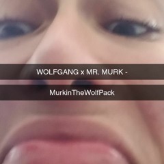 Mr. Murk x Wolfgang x Kejjin - MYDICKSTUCKINTHEVCR(intro) (prod. ShyGuyMadeIt)