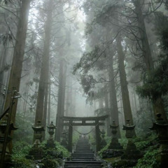 SHIRASAGI