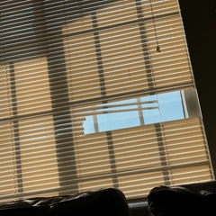 THE STORY THAT NEVER HAPPENED