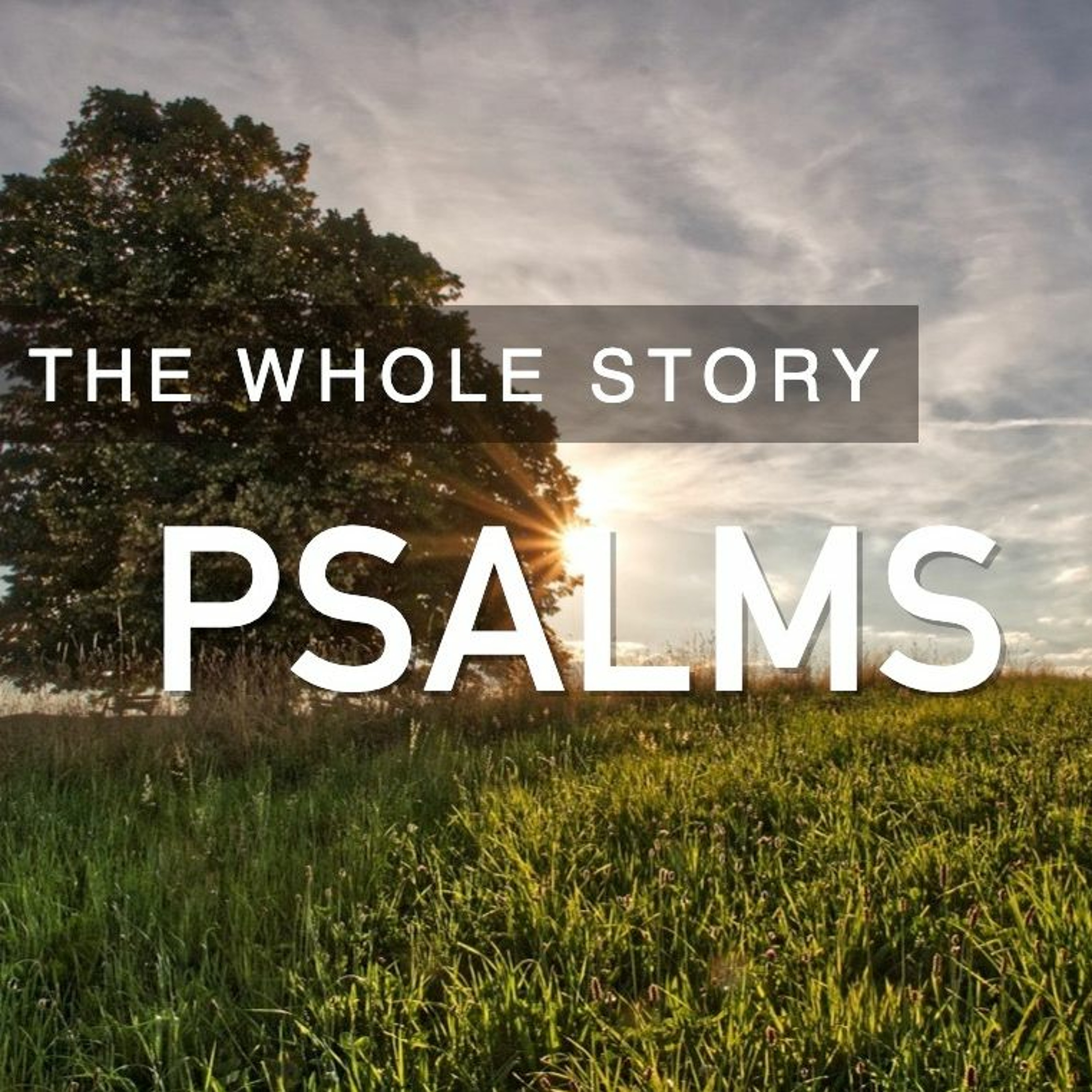PSALMS: The Wonder of God Displayed - Tom McGarvey (11.22.2020) episode artwork