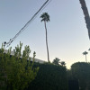 Patio Set 1(Indie Dance)