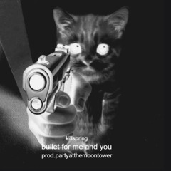 ☆killspring☆ - bullet for me and you