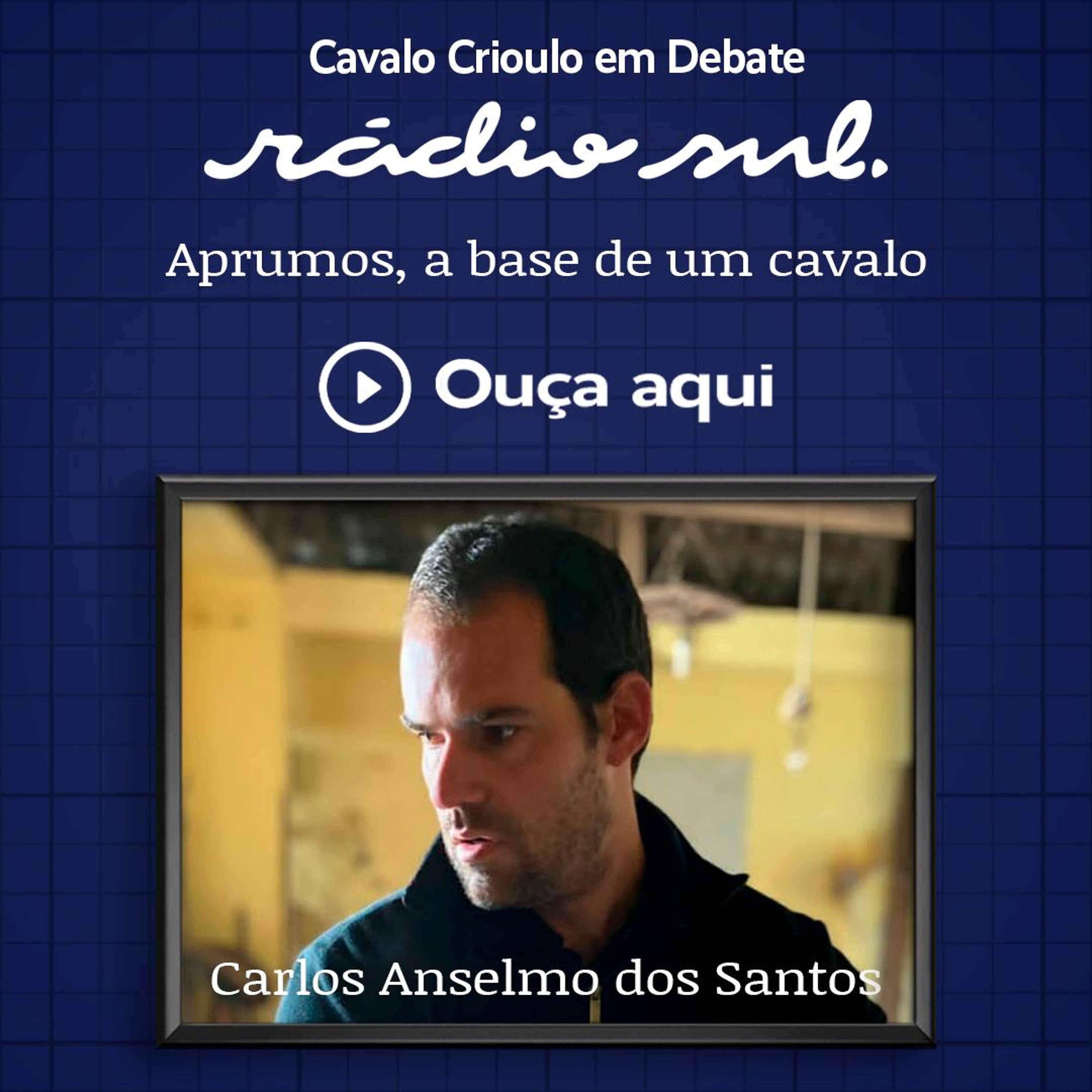 Radiosul.net