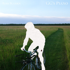 Sunset Highway Stretch