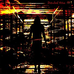 Disturbed Vision #1