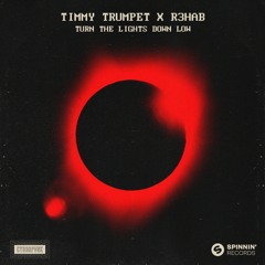 Timmy Trumpet & R3HAB - Turn The Lights Down Low