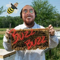 BUZZ BUZZY BUZZ BUZZ