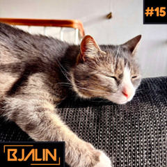 Bjalin Radio #15 - Mixtape
