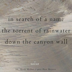 In Search Of A Name  (Naviarhaiku 505 )