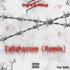 Tallahase (Ft. K-Dawgg) [Remix]