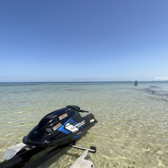 فيكم طرب؟ ريمكس