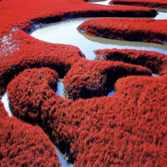 Dayna Sikorski - Everybody Dies (Prod. River)