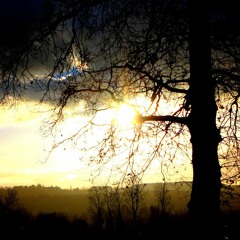 Dawn
