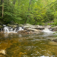 There's a ringing in my ear and it won't go away