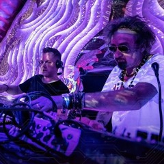 Ace Ventura in Dub (feat. Gaudi) @ Ozora Festival 2022