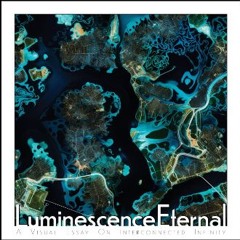 Ebook PDF  📖 Luminescence Eternal: Aerial Photography of Urban Landscapes Illuminated By Biolumine