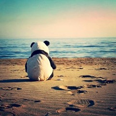 Pang pang am Meer