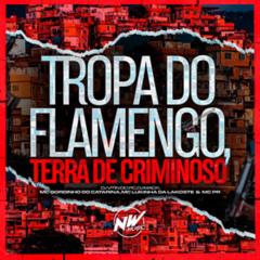 TERRA DE CRIMINOSO - DJ VITIN DO PC & DJ MACK - MC GORDINHO DO CATARINA, MC LUKINHA DA LAKOSTE MC PR