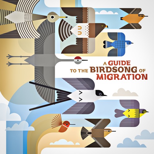 Copy of A Guide to the Birdsong of Migration