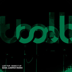 Shake It Up (Bass Jumper Extended Remix)