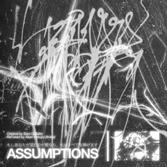 ASSUMPTIONS - REMIX