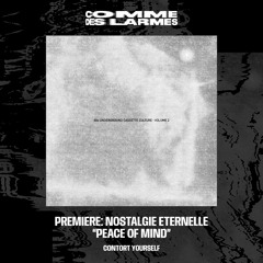 PREMIERE CDL \\ Nostalgie Eternelle - Peace Of Mind [CONTORT YOURSELF] (2022)