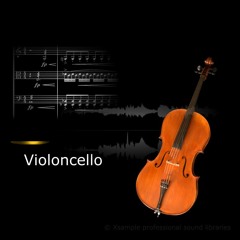 Xsample Violoncello