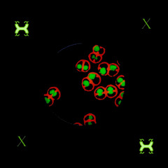 The BULL [QuadX]