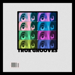 True Grooves (Original Mix)