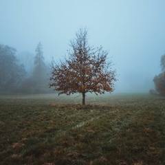november