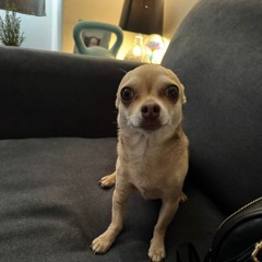 Mix 33 R&B/HOUSE    VINYL BREAK  VS SLIPMODE ACTIVE