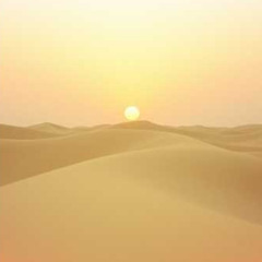 백년 여행기 (The Century Traveler)