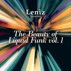 The Beauty Of Liquid Funk Vol.1