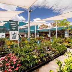 Plant Sale