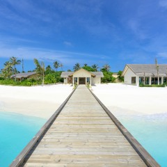 Beach House