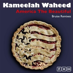 PREMIERE: Kameelah Waheed - America the Beautiful (Bruise Vocal)