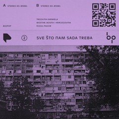 SVE ŠTO NAM SADA TREBA