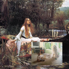 burnedhouse x ypxd - fairytale