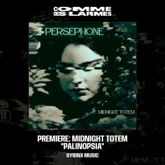 PREMIERE CDL || Midnight Totem - Palinopsia [Syrinx Music] (2024)