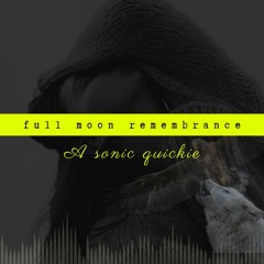 A Sonic Quickie - Full Moon Rememberance