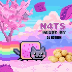 N4TS by DJ HOTBOX