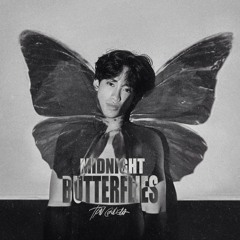 Midnight Butterflies