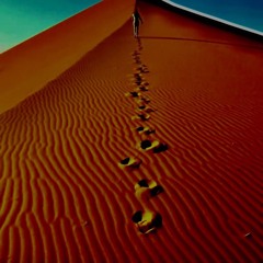 Footsteps In The Sand-  Ft Andres Janssen