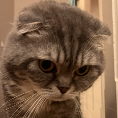 ฝากแปบบครับ