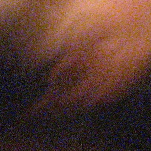 rosewither - the relationship between our bodies and our environment
