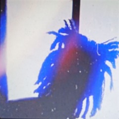 I cant fwu - Cashhound/Aceboogie By STVRGVZ3R: PRE STVRGVZ3R ERA