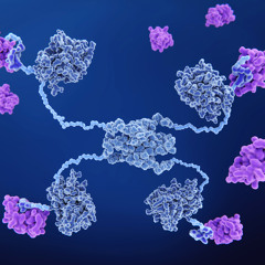 New Insights into p53: A Powerful Gene’s Role in Cancer Therapy