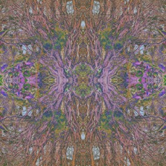 Forest trip - [L¡ve Jam]