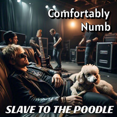 Comfortably Numb